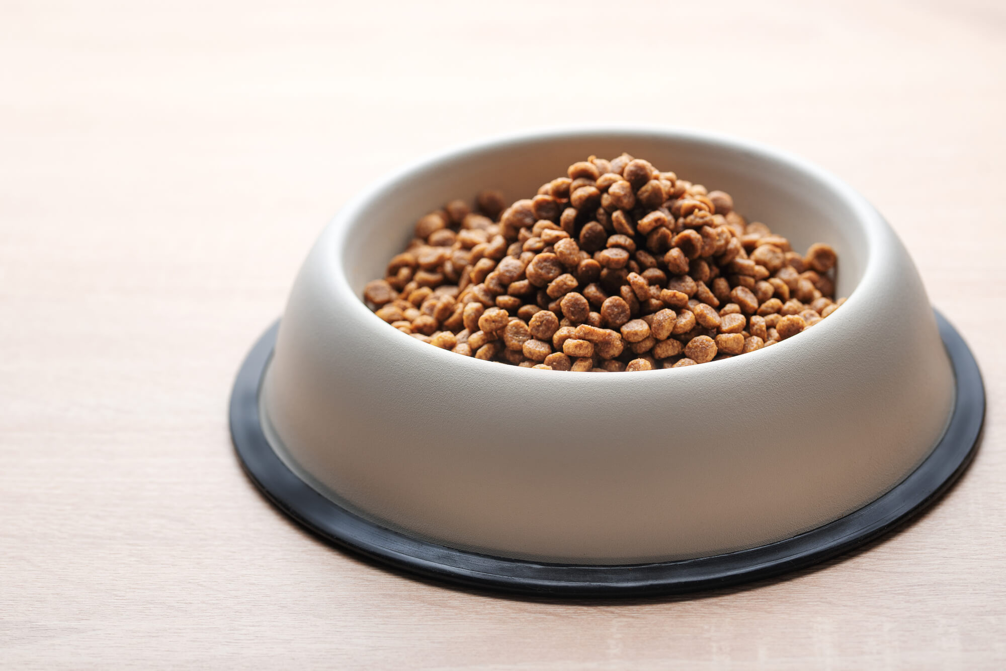 涙やけ対策ドッグフードを与える際の注意点